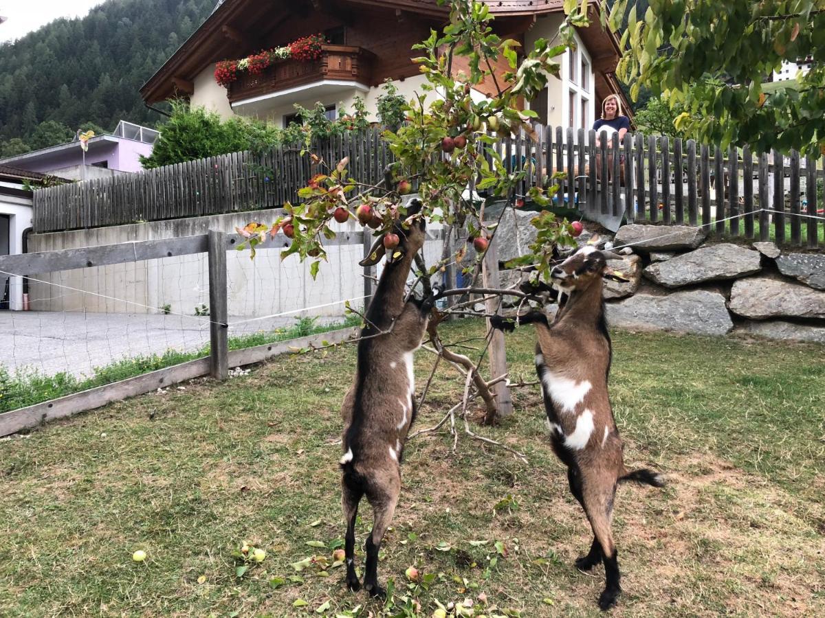 Sonnenschlössl Apartments Neustift im Stubaital Exterior foto